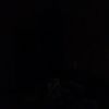 menna44602
