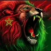 salahmaroc24
