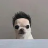 andreserrao2