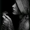 armina.183