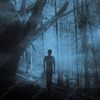 Night vision stories