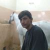 zamin.ali.arbab0