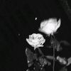 alme_cute16