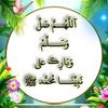user93559098597208