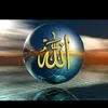 user67047166095618