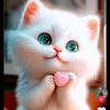 damlaa_83