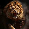 animal4179