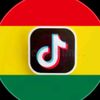 tiktok_bolivia2.0