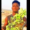 salesu.bo.abba