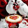 sofya2811