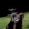 tr_yo4