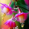 user9058863426616