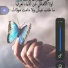 user85519693909521