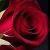 sardar_safeer_1