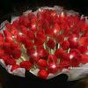retal.abdalnaby