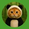 PetsInCostume