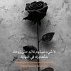 user50207625498588