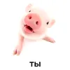 timyr_tima1