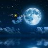 hady.hady8514