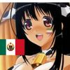 vaquita.feliz12