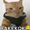 ciekangen.ya