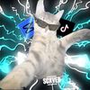 scxver28