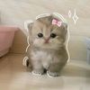 zxzx.nurul17