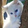 noemy.snchez60