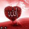 afnan.khan0386