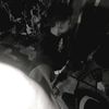 _nbill31