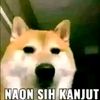 _bayyyyyyyy5