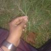 user26615005704044