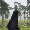 falanaksoleh0
