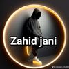 user446275520