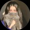 zorroqueen1