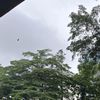 hongsstory_