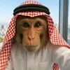 mrjasm75yt