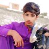 aligul.8124
