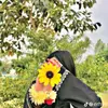 unknown0000454