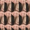 lengg252