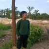 lipp_annn29