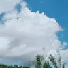 suri05427