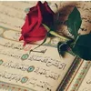 el.adfaoui.badia