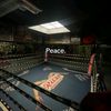 gabbysufc