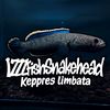IzZfish_snakehead🦈