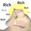 richrich_188
