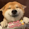 phambinhcc37