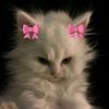loly_er83