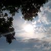 kmuugapp