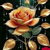 user2671608437346